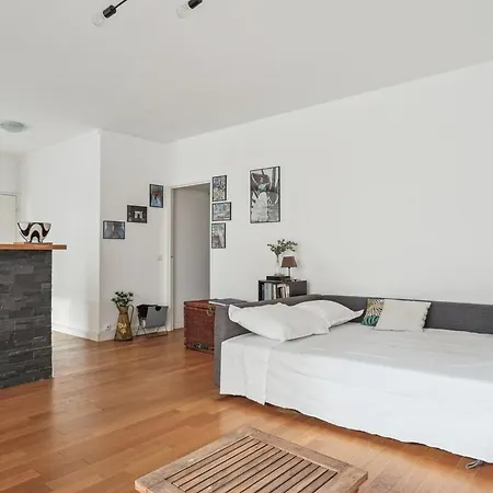 And Bright Flat Near Eiffel Tower *